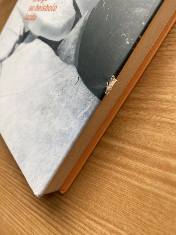 Sraigė su beisbolo lazda - Sigitas Parulskis, knyga 5