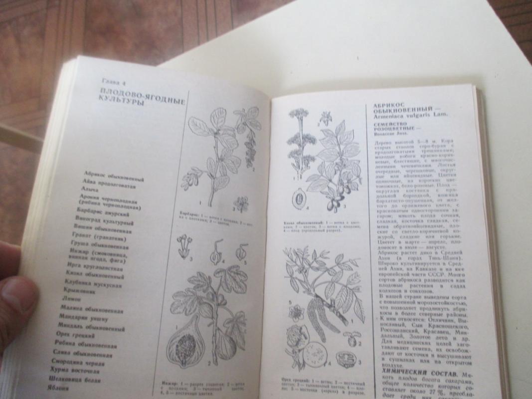 Vaistinės žemės ūkio augalų savybės - Autorių Kolektyvas, knyga 6