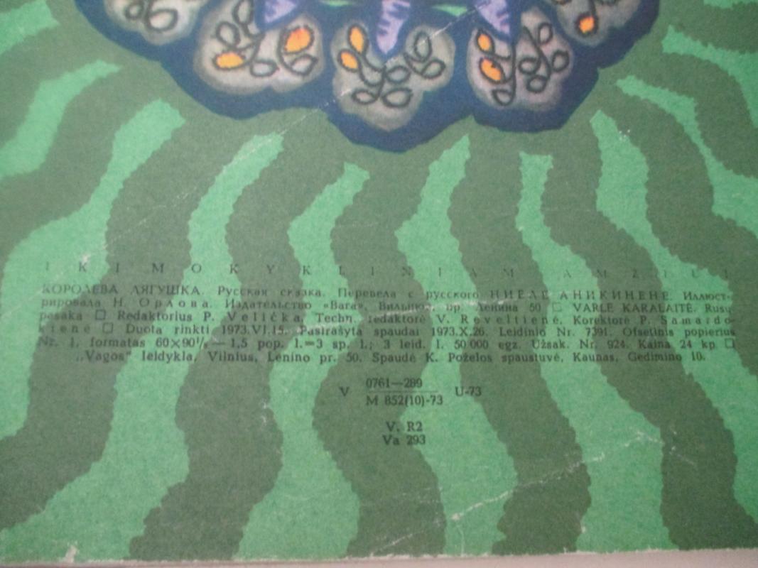 Varlė karalaitė - Autorių Kolektyvas, knyga 4