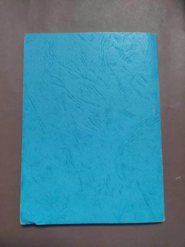 Aušrelė - Autorių Kolektyvas, knyga 4