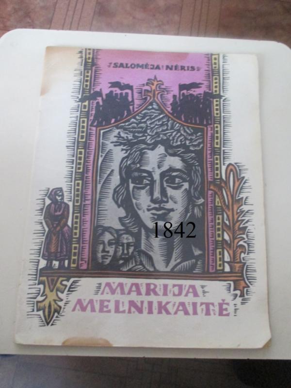 Marija Melnikaitė - Salomėja Nėris, knyga 2