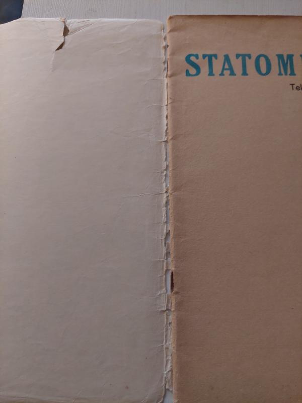 Statome namą - Antonis Lupatelis, knyga 5