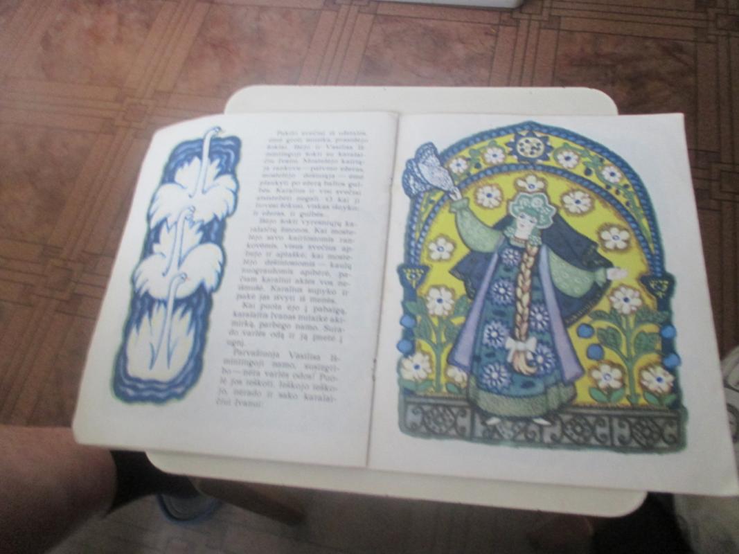 Varlė karalaitė - Autorių Kolektyvas, knyga 5