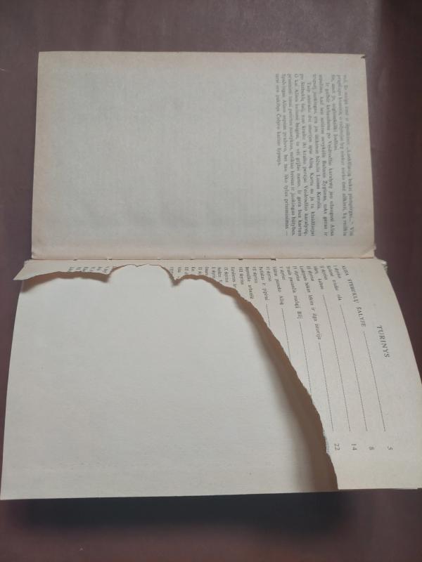 Alisa Stebuklų šalyje ir Veidrodžio karalystėje - Luisas Kerolis, knyga 5