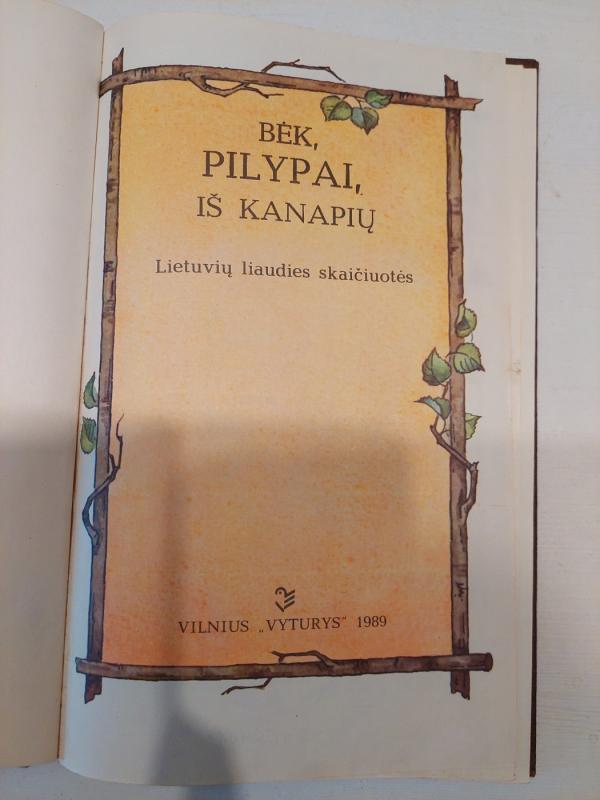 Bėk, Pilypai, iš kanapių - Bronė Kazlauskienė, knyga 2