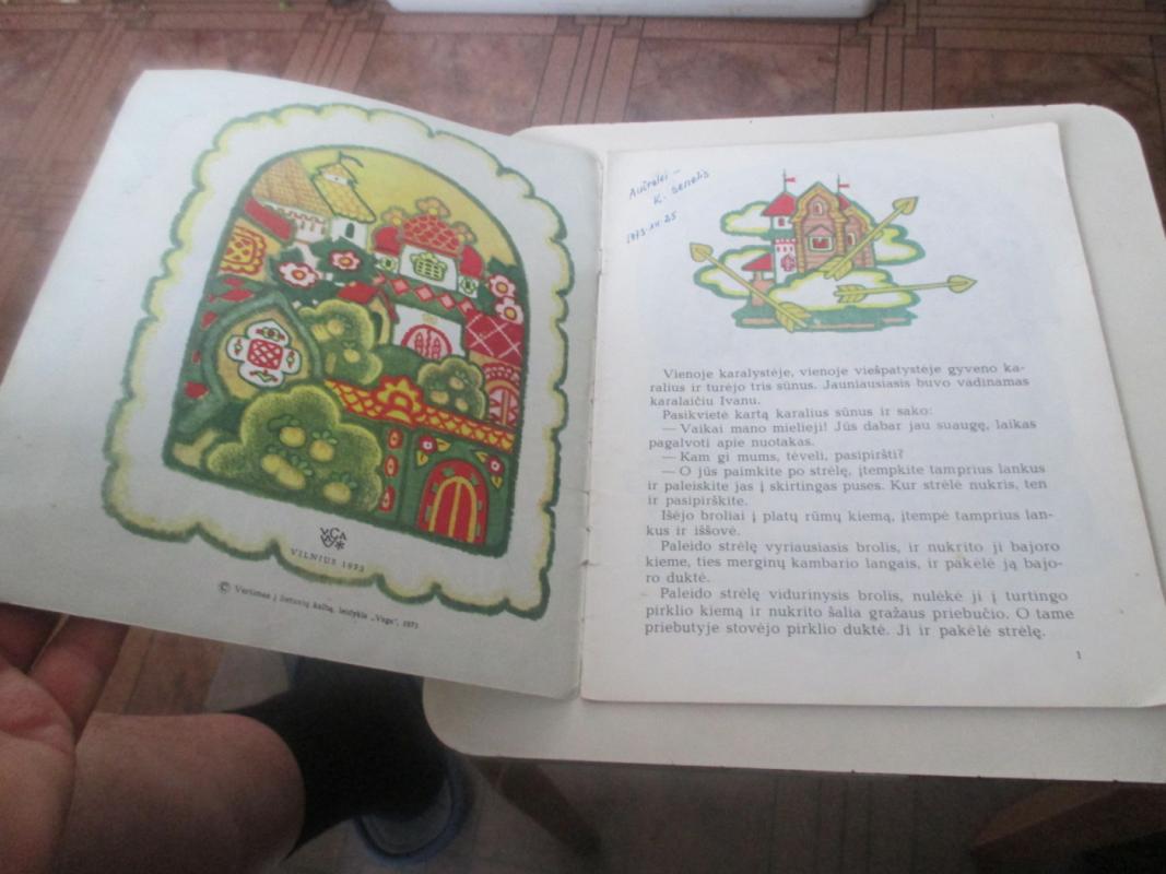 Varlė karalaitė - Autorių Kolektyvas, knyga 6