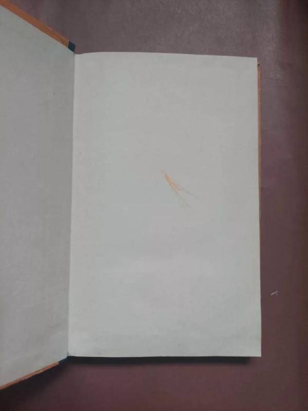 Berniukas iš Lokių daubos - Grigorijus Fedosejevas, knyga 4