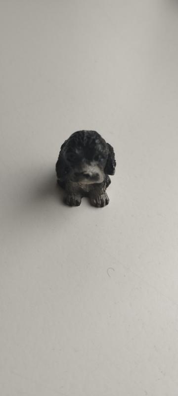 Šuniukai - , namai ir interjeras 4