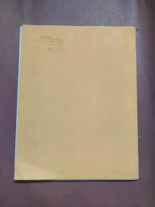 Aušrelei beauštant - Jonas Bendorius, knyga 5