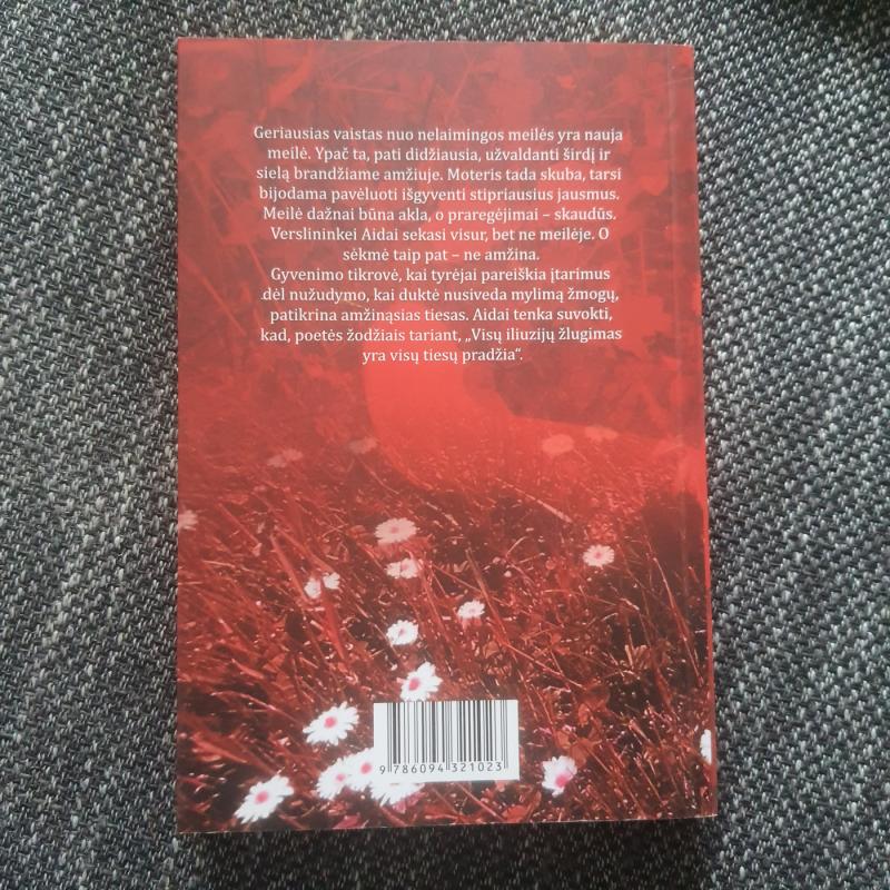 Raudoni bateliai - Ona Saulė Delonienė, knyga 4