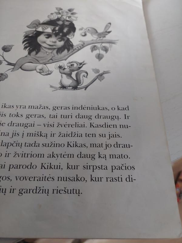 kikas - Č. Torsonas, knyga 4