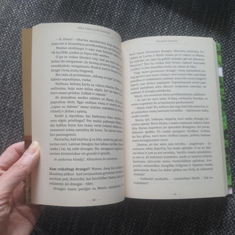 Raudoni bateliai - Ona Saulė Delonienė, knyga 3