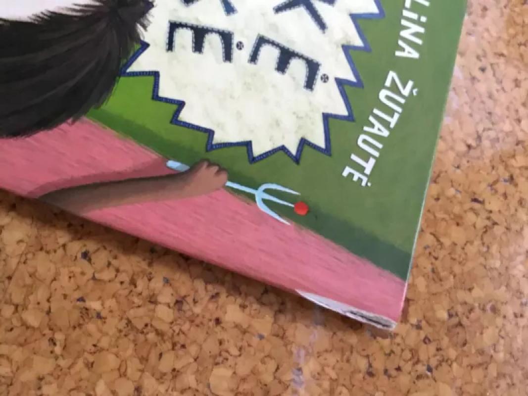 Kakė Makė ir svajonių gimtadienis - Lina Žutautė, knyga 3