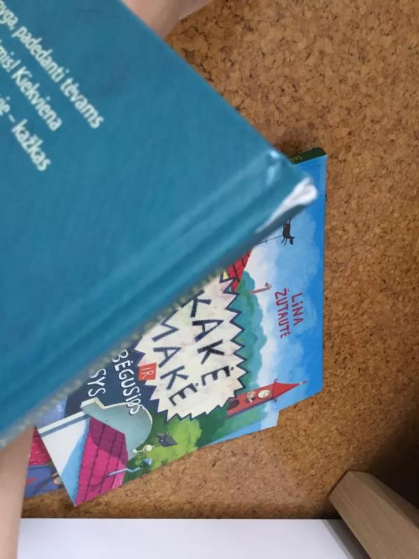 Kakė Makė ir svajonių gimtadienis - Lina Žutautė, knyga 4