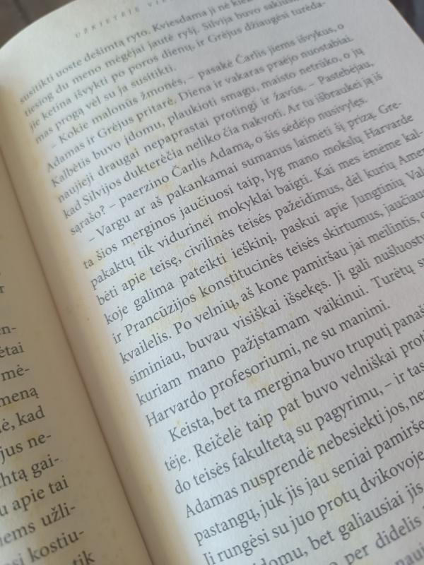 Užkietėję viengungiai - Danielle Steel, knyga 4