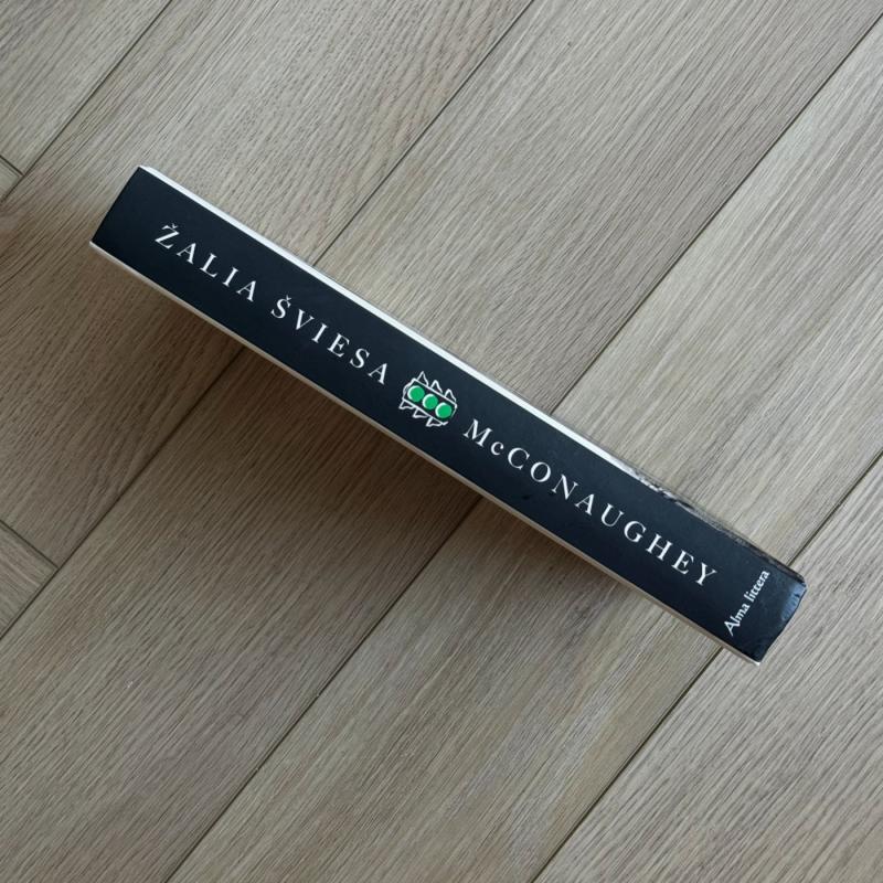 Žalia šviesa - Matthew MCconaughey, knyga 4