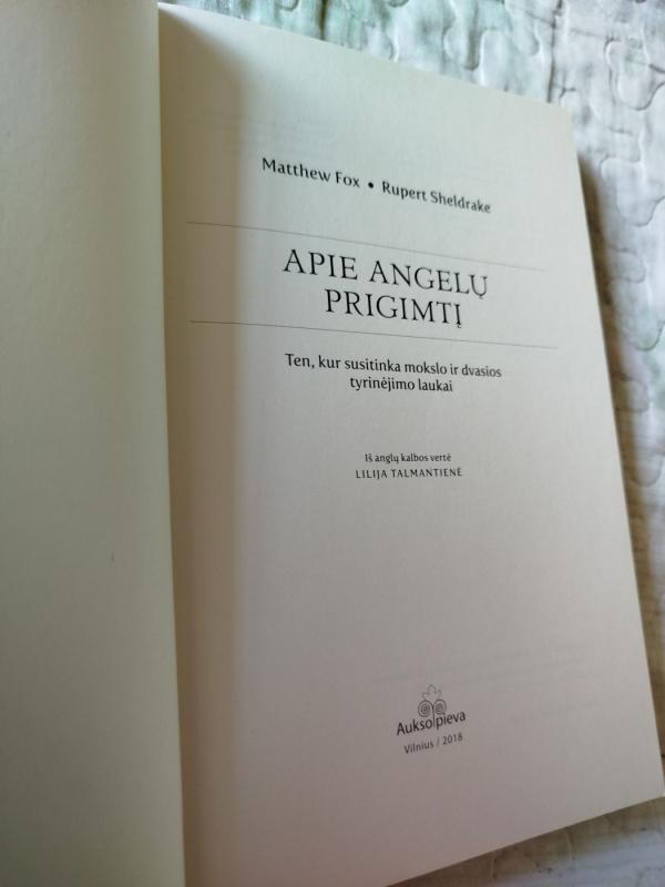 Apie angelų prigimtį. Ten, kur susitinka mokslo ir dvasios tyrinėjimo laukai - Matthew Fox, Rupert Sheldrake, knyga 3