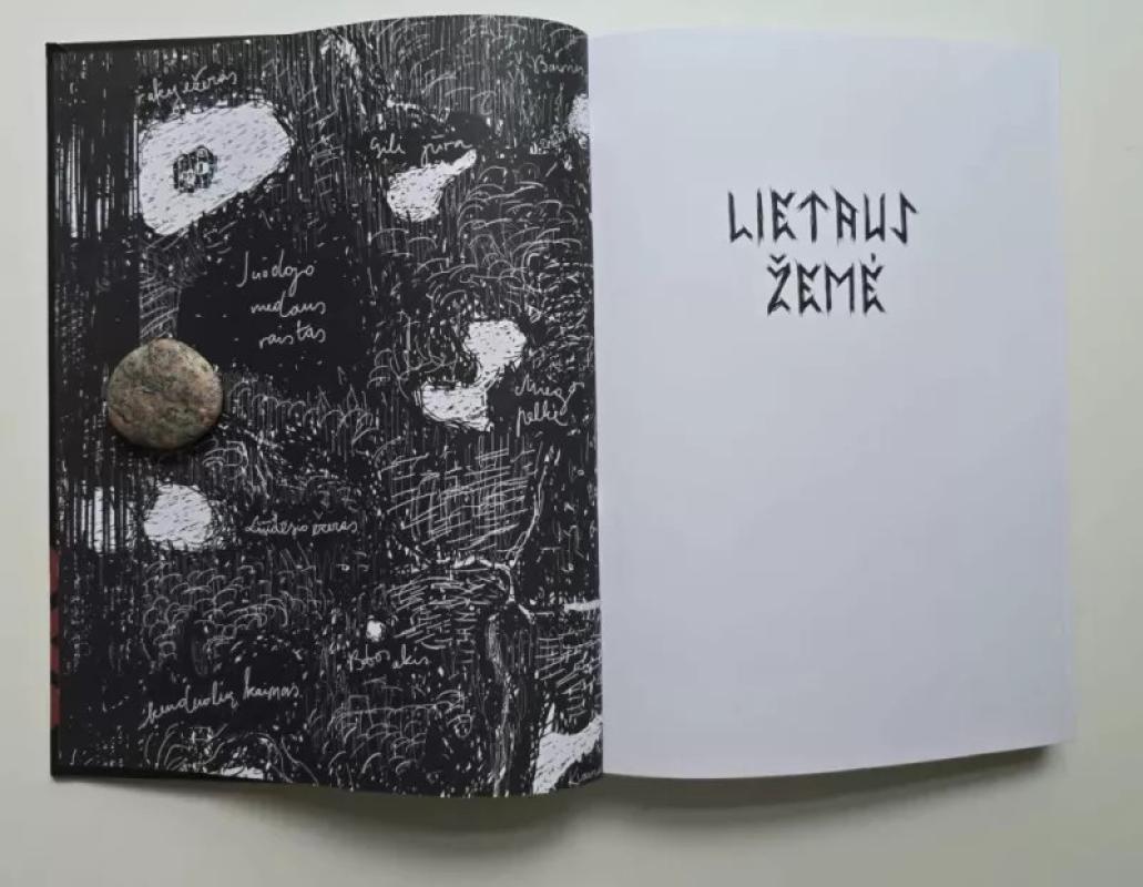 Lietaus žemė - Jurga Lago, knyga 4