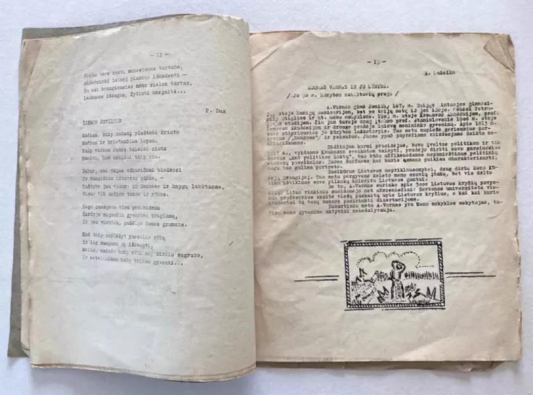 Jaunystė - Autorių Kolektyvas, knyga 5