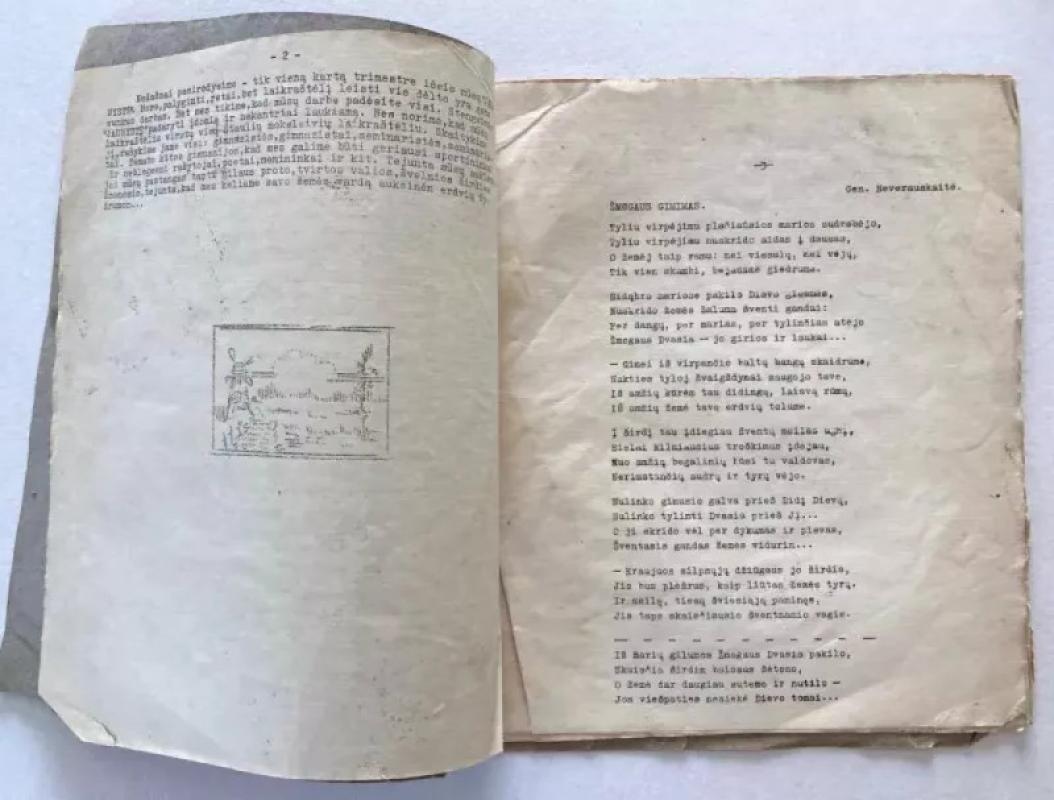 Jaunystė - Autorių Kolektyvas, knyga 4