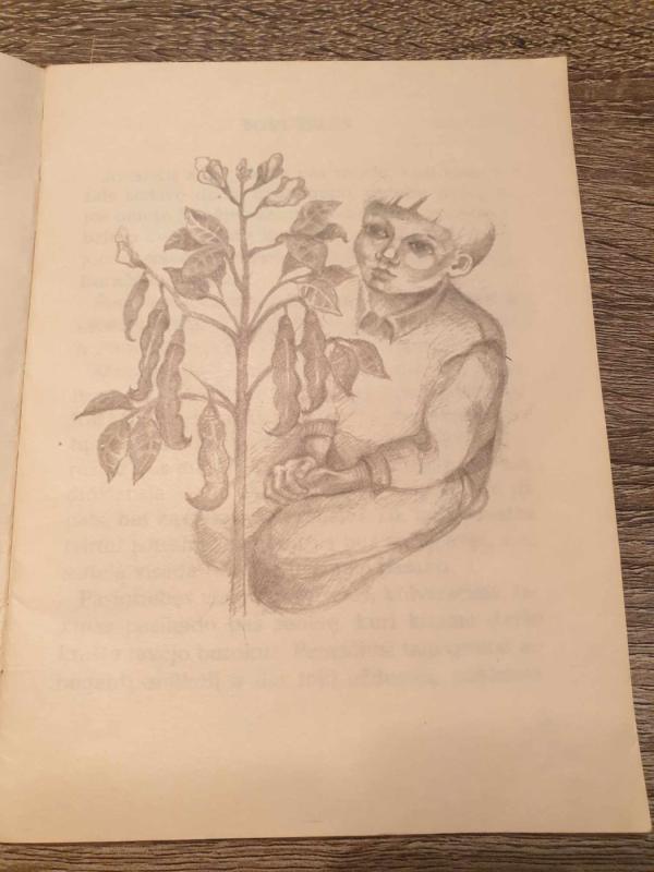 Boružėlės - Bronė Ruškienė, knyga 5