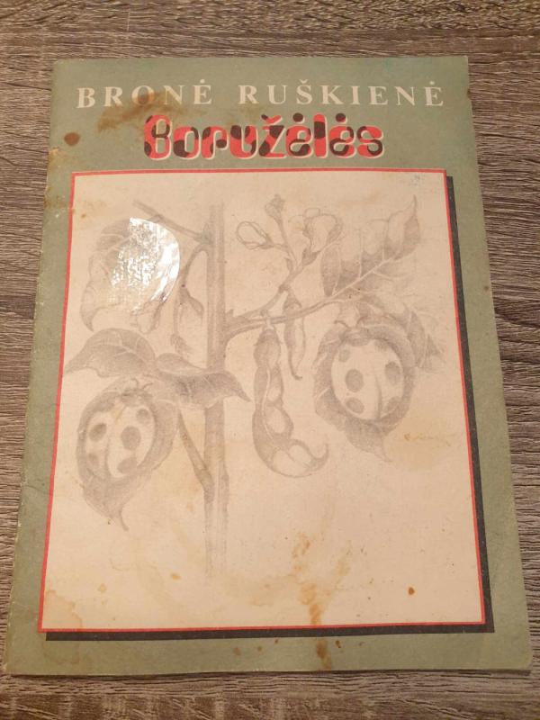 Boružėlės - Bronė Ruškienė, knyga 2