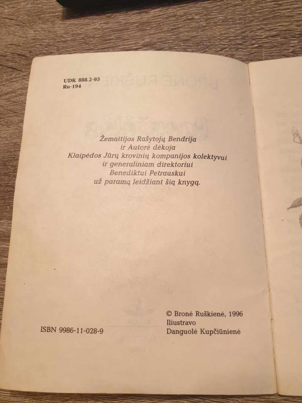 Boružėlės - Bronė Ruškienė, knyga 4