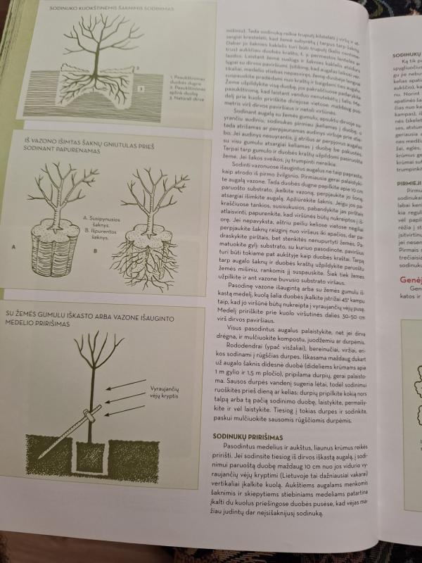 Sodo knyga. Nuo aplinkos planavimo iki darbų kalendoriaus. - Valerija Baronienė ir kiti, knyga 6