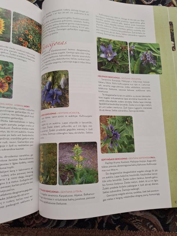 Sodo knyga. Nuo aplinkos planavimo iki darbų kalendoriaus. - Valerija Baronienė ir kiti, knyga 5