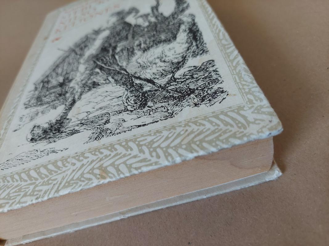 Stebuklingosios Nilso kelionės - Selma Lagerlöf, knyga 4