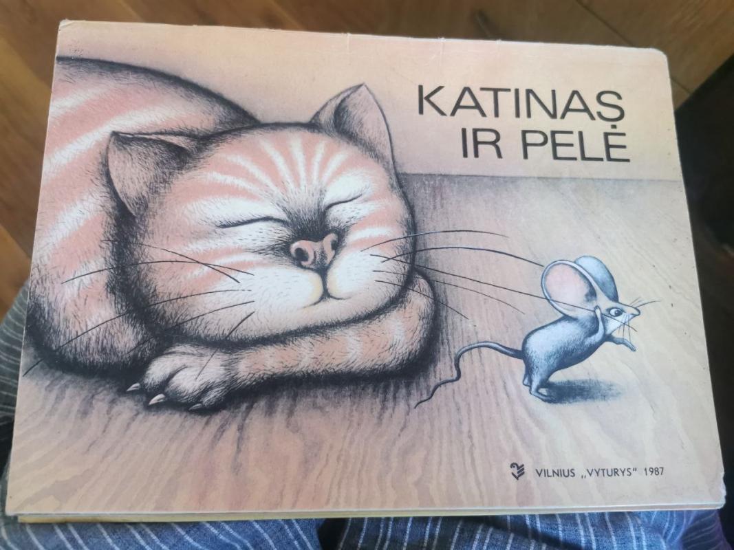 Katinas ir pelė - Autorius nenurodytas, knyga 6