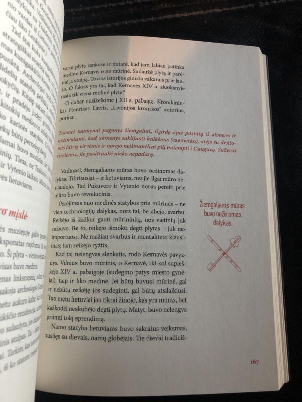 Istorijos detektyvai VIDURAMŽIAI - Virginijus Savukynas, knyga 4