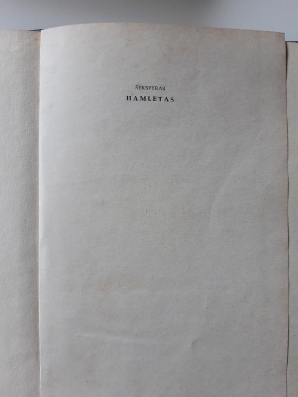 Hamletas - Viljamas Šekspyras, knyga 3