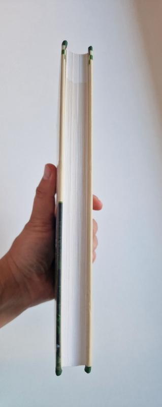 Tradicinis Lietuvos kaimas. Lietuvių etninės kultūros galvosūkiai - Aleksandras Ikamas, knyga 3