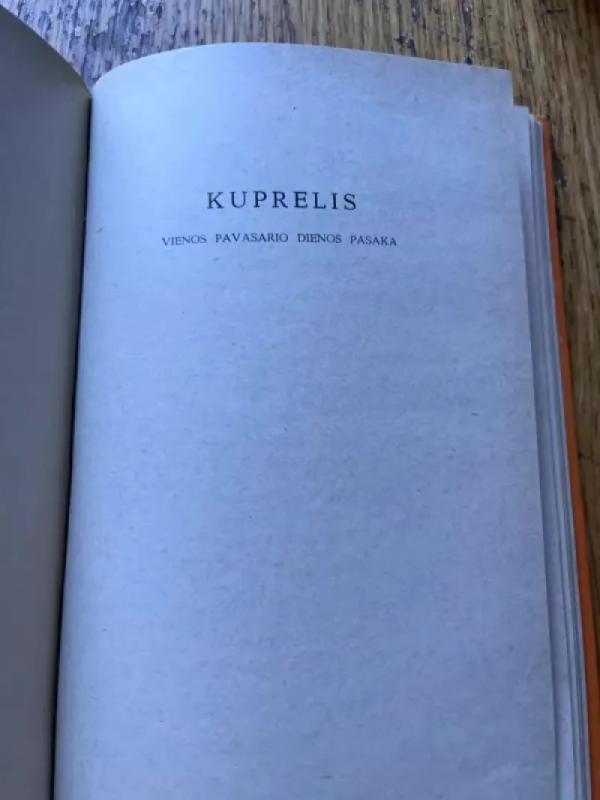 Kuprelis - Ignas Šeinius, knyga 2