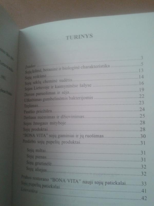 Sojos - Algirdas Sliesaravičius, knyga 3