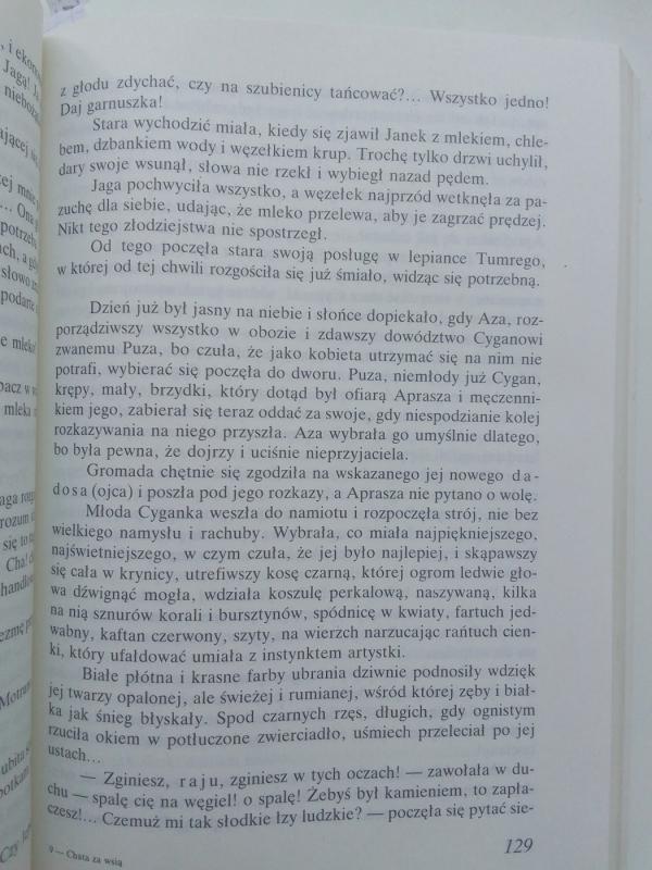 Chata za wsią - Jósef Ignacy Kraszewski, knyga 6