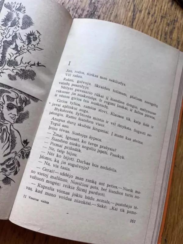 Kuprelis - Ignas Šeinius, knyga 3