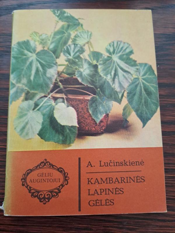 Kambarinės lapinės gėlės - A. Lučinskienė, knyga 2