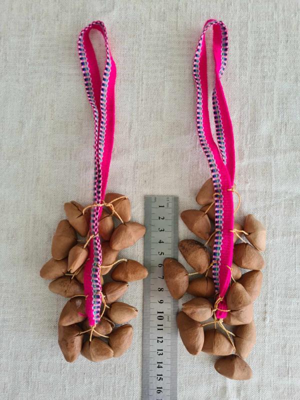 Muzikos instrumentas Peru - , namai ir interjeras