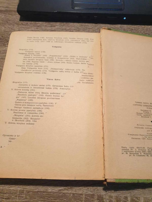 Lietuvių literatūros vadovėlis X klasei - V. Galinis, knyga 6