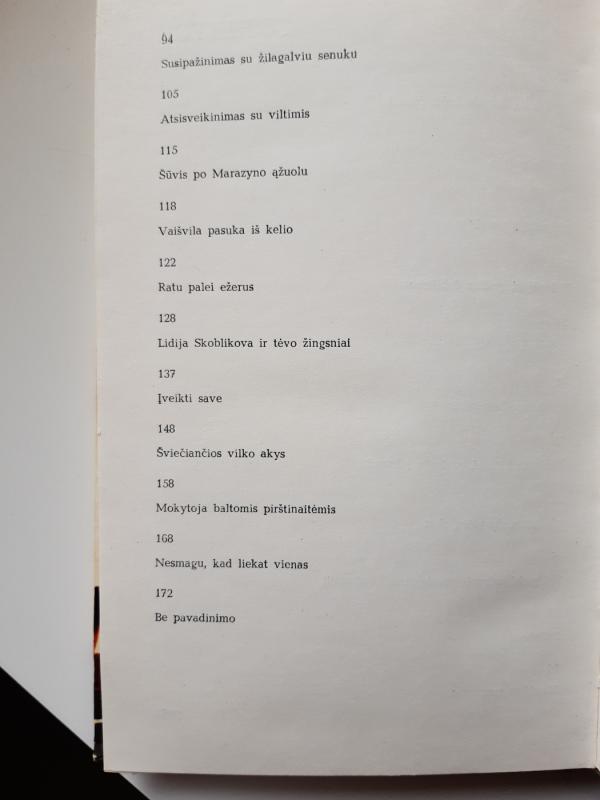 Keleivio novelės - Juozas Aputis, knyga 3