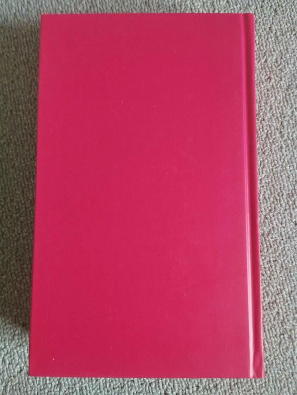 Dingusi - Gillian Flynn, knyga 3