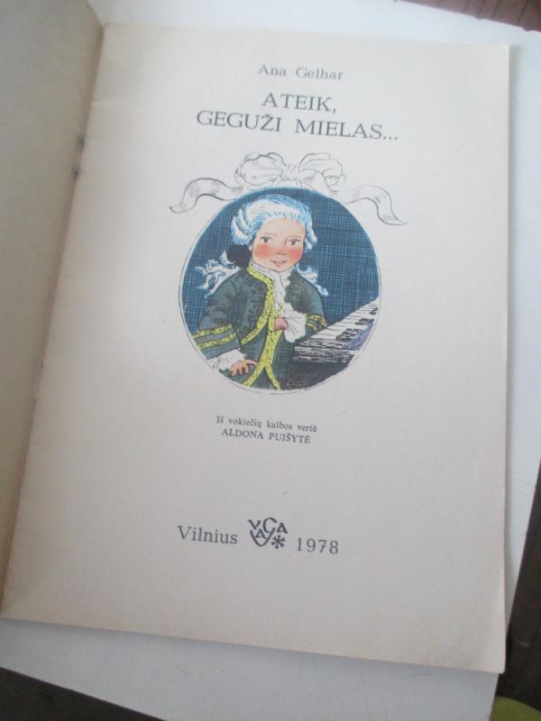 Ateik, geguži mielas... - Ana Gelhar, knyga 6