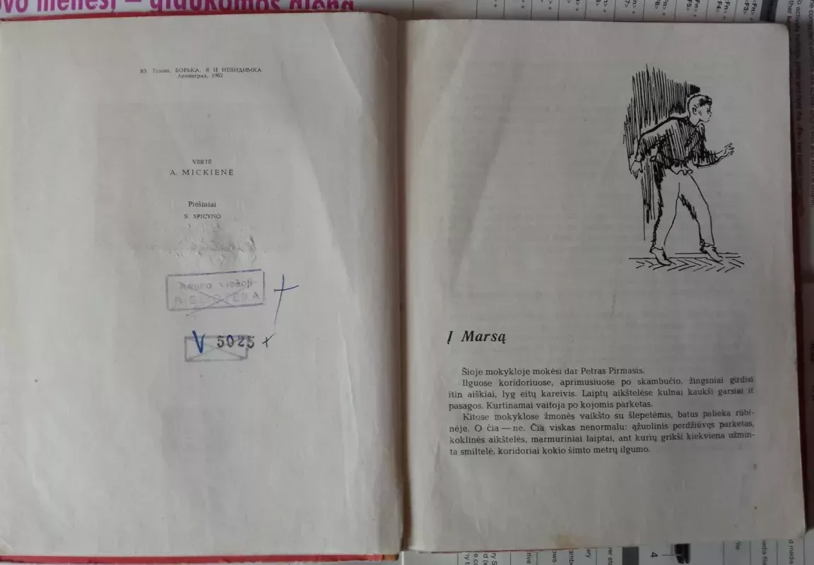 Borka, aš ir nematomasis - J. Tominas, knyga 4