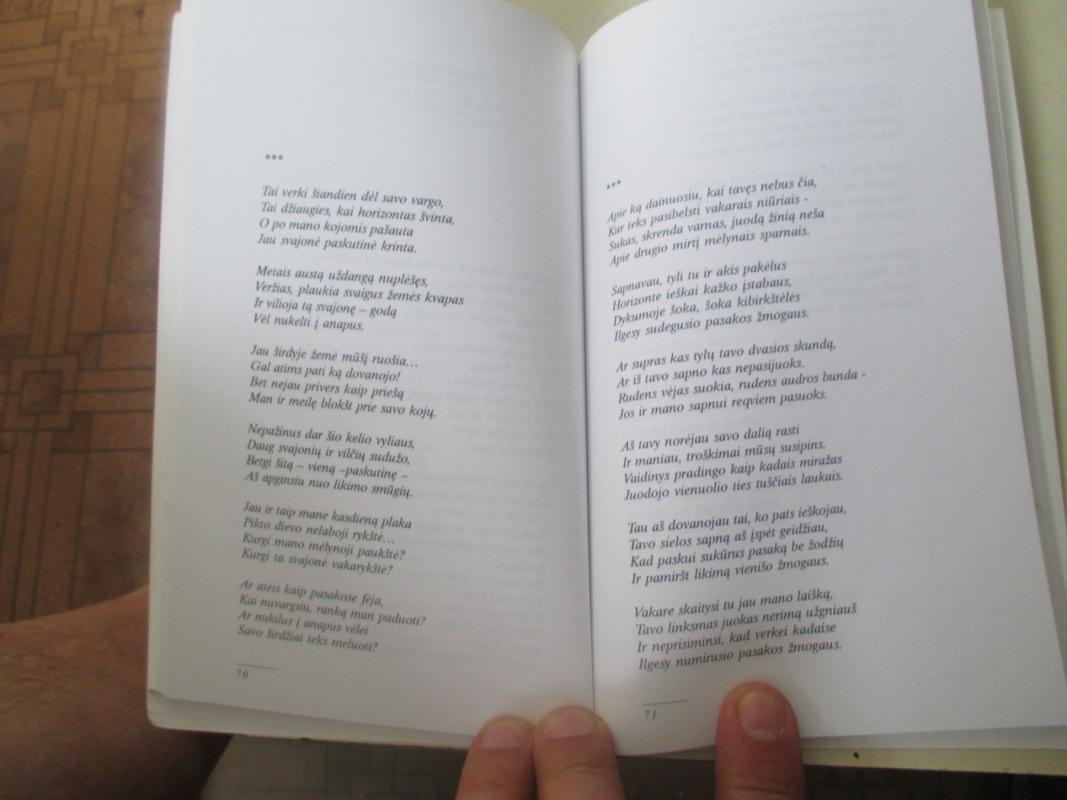 Žiburėlis šaltam židiny - Stasys Žaldokas, knyga 6