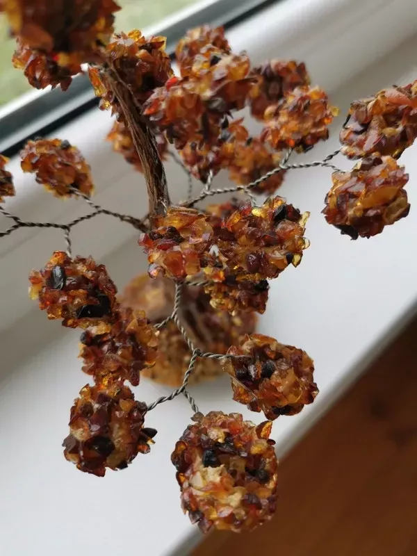 Gintarinis medelis - , namai ir interjeras 2