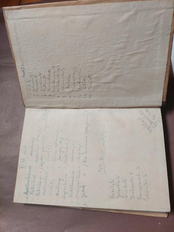 Broliai (2 dalys) - A. Gudaitis-Guzevičius, knyga 4