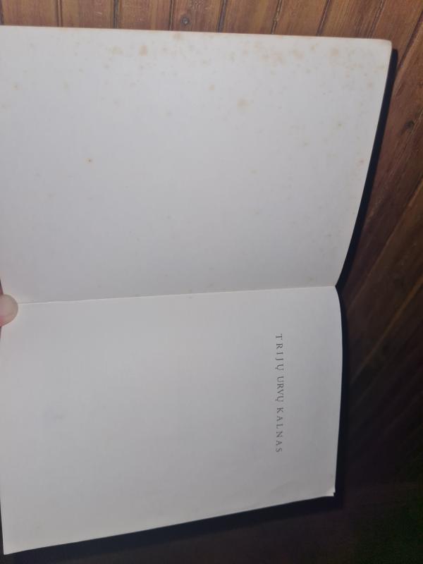 Trijų urvų kalnas - Per Olov Enquist, knyga 3