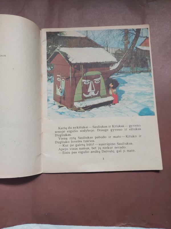 Broliukai nykštukai - Stasė Samulevičienė, knyga 3